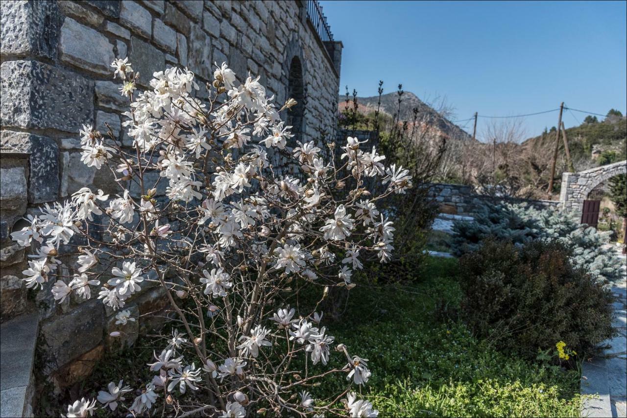 Stone Mansion Anavryti, Αμα 20569 Villa Mystras Exterior photo